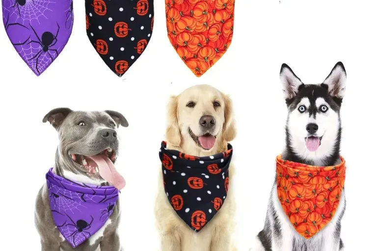 Custom Printed Pet Bandanas