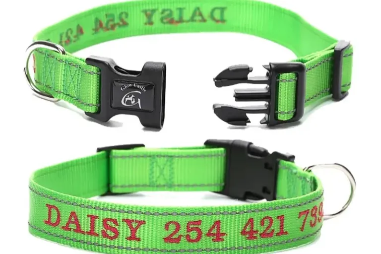 Customized Dog Collars