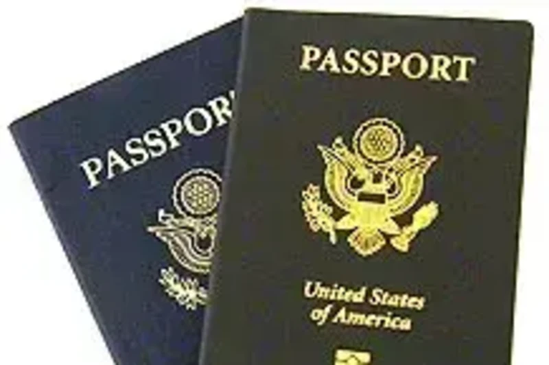 Novelty Passports