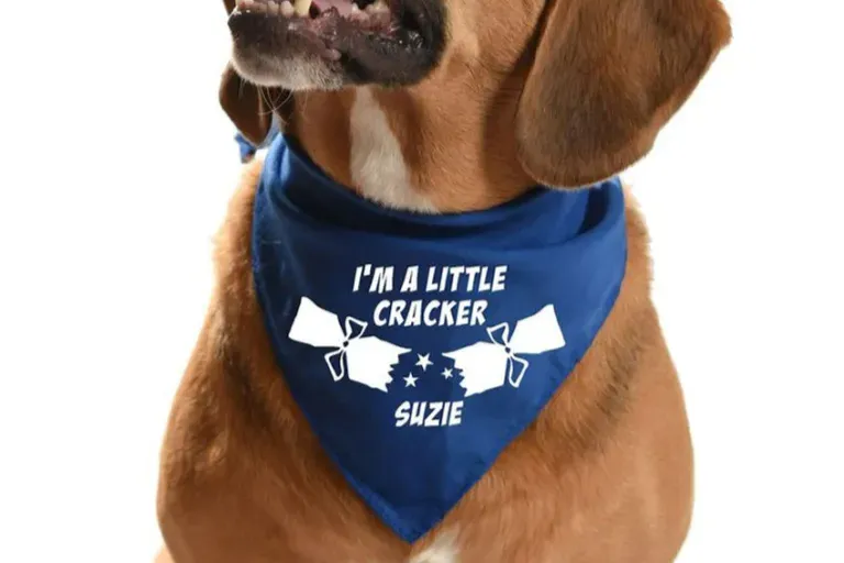 Personalized Bandanas for Dogs