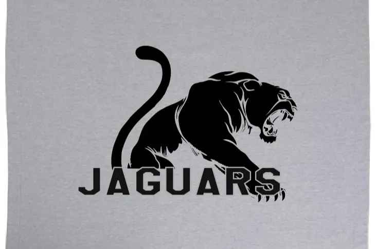 School Spirit Blankets