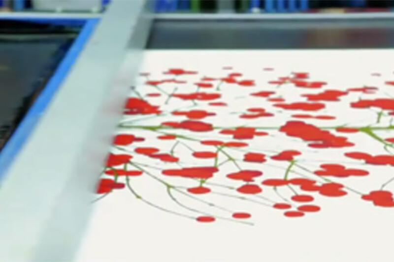 Fabric Screen Printing