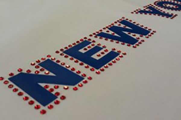 Go NY Giants !