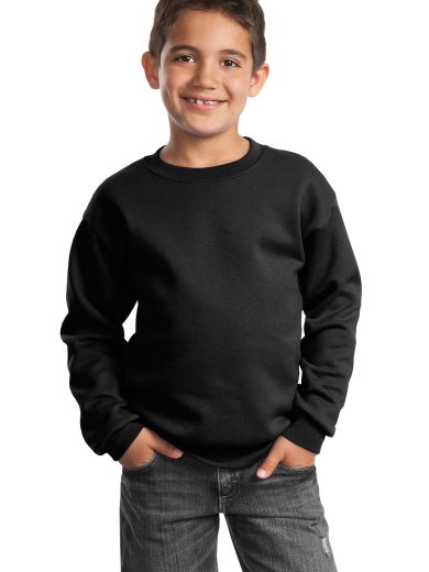 Port & Company® Youth Core Fleece Crewneck Sweatshirt.