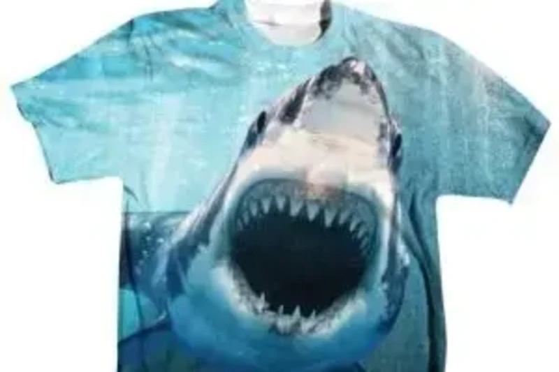 What Is Sublimation
